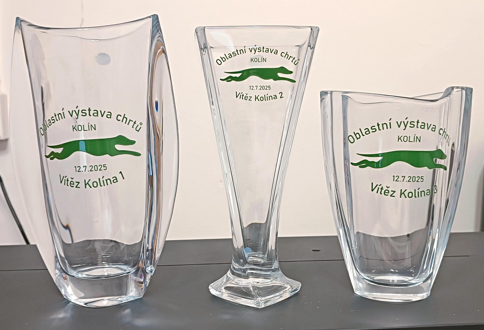 klubové trofeje