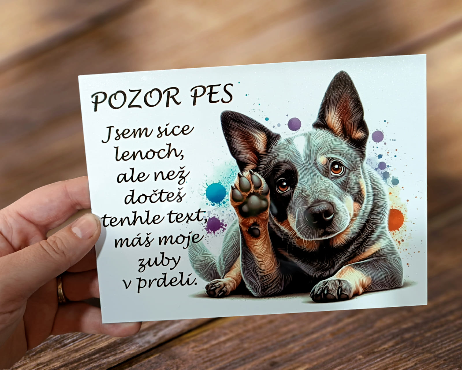 cedule pozor pes