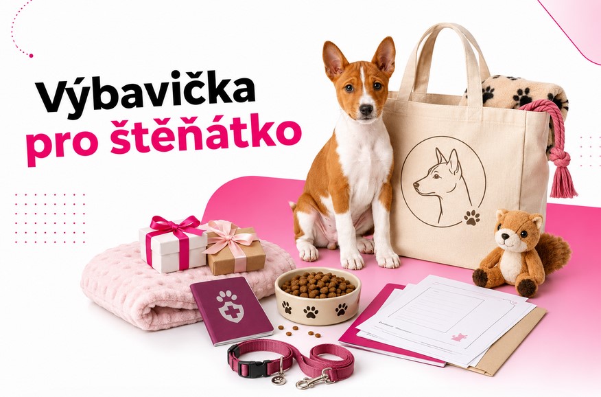 Komunita a trendy