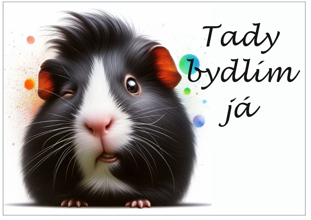 Cedulky zvířata 