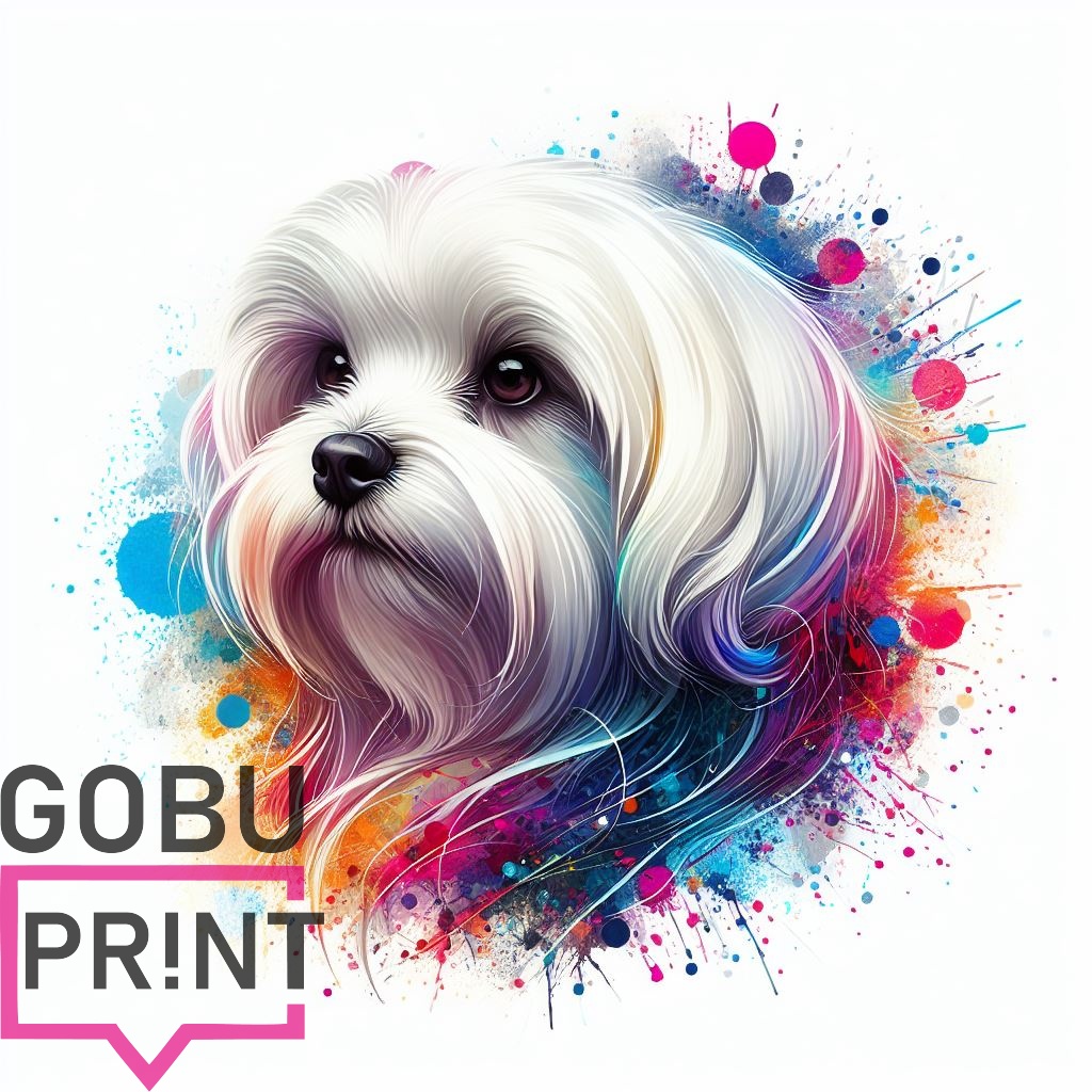 Maltézský psík / maltipoo