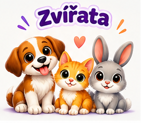 Zvířata