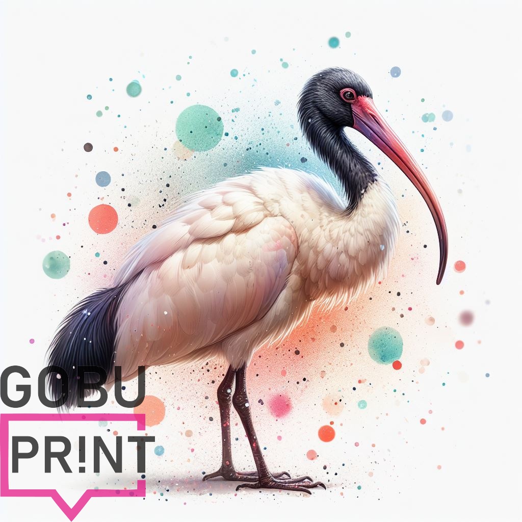 IBIS