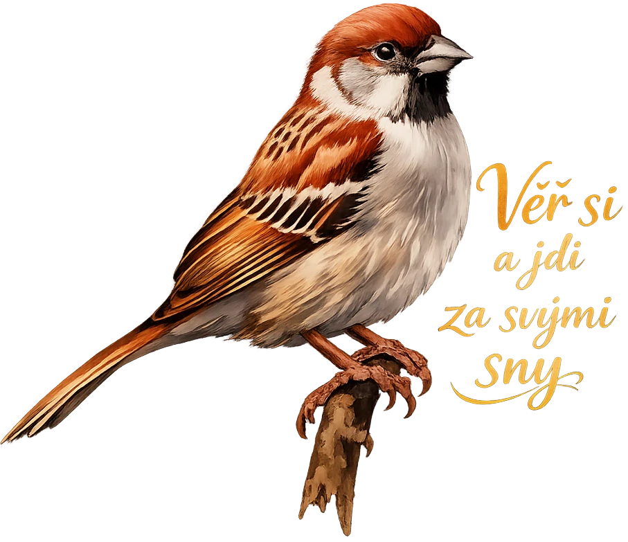 Vrabec - Věř si a jdi za svými sny