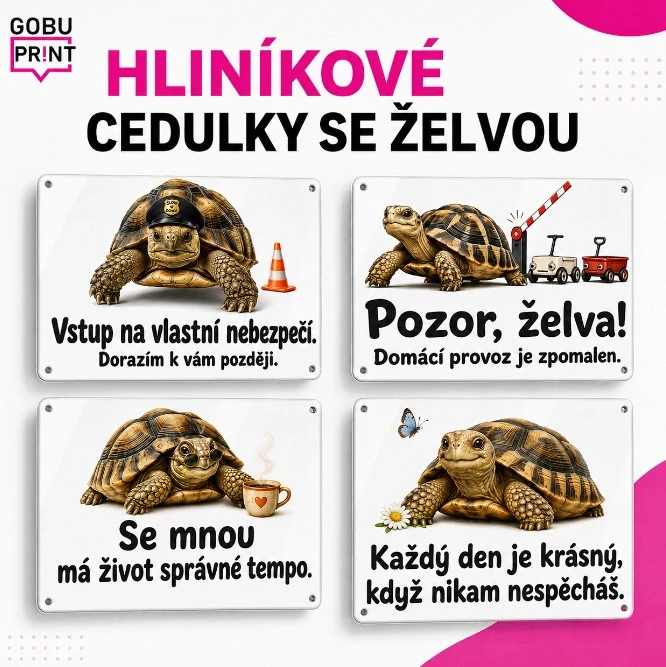 Tady bydlí želva - 4 motivy na výběr