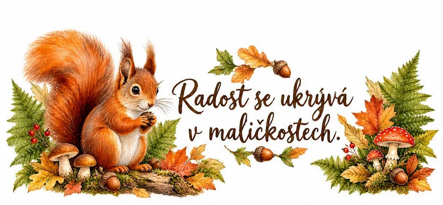 Veverka - radost se ukrývá v maličkostech