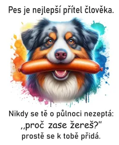 Australský ovčák s klobásou