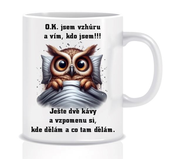 Keramický hrnek - sova
