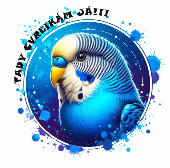 Andulka modrá - Tady cvrlikám já!