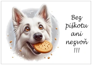 Bez piškotu, ani nezvoň! (plemeno na přání)