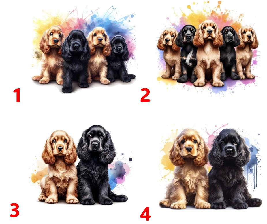 Anglický kokršpaněl štěně - 4 motivy