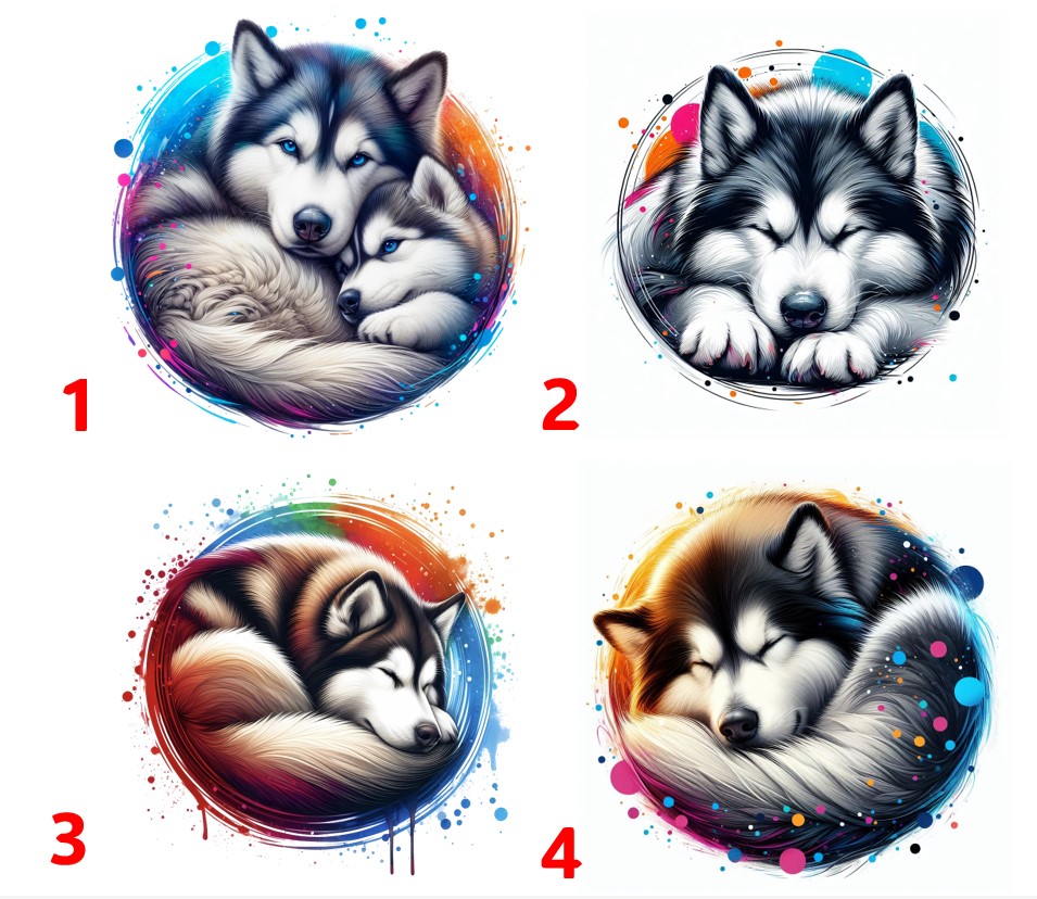 Sibiřský husky spí - 4 motivy