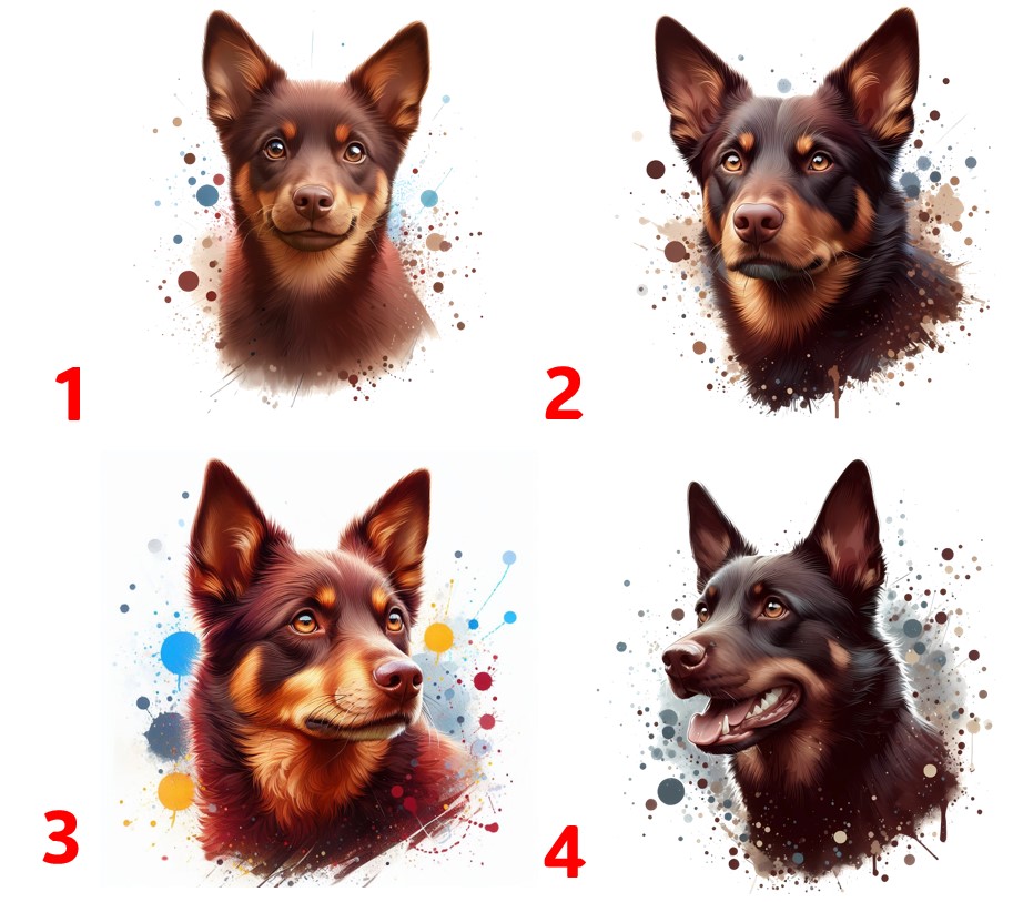 Australská kelpie hnědá - 4 motivy