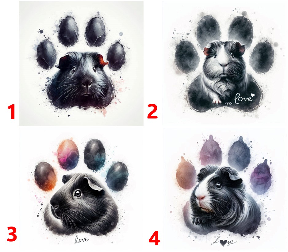 Morče černé - 4 motivy