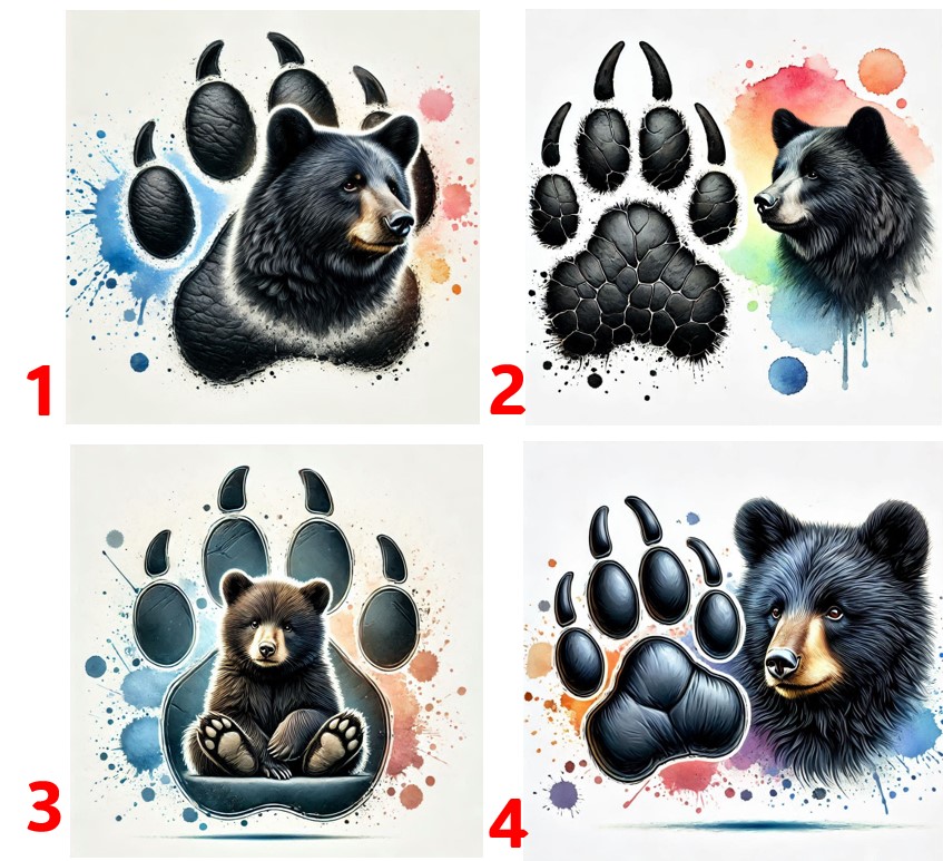 Medvěd černý - 4 motivy