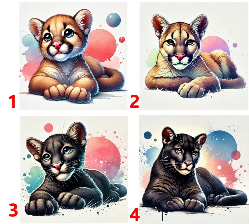 Puma - 4 motivy