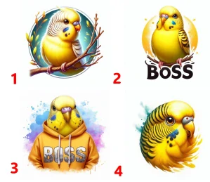 Andulka žlutá - 4 motivy