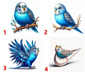 Andulka modrá - 4 motivy