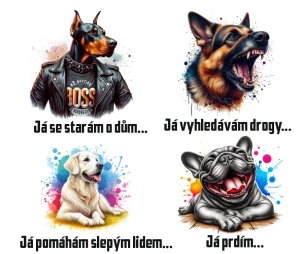 Já prdím