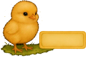 Jmenovky kuřátko 35ks