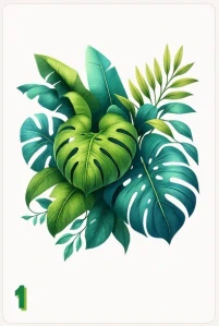 Monstera listy