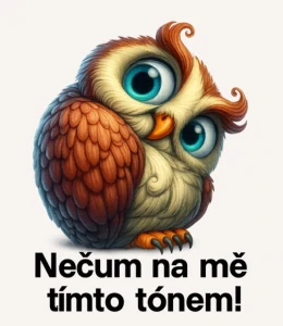 Nečum na mě tímto tónem
