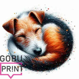 Foxteriér