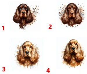 Anglický kokršpaněl portrét - 4 motivy