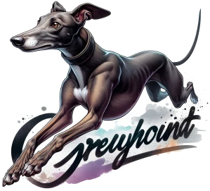 Greynhound