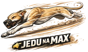 Závodní chrt jedu na max