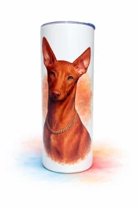 Termohrnek Faraonův pes