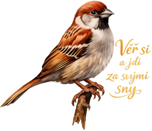Vrabec - Věř si a jdi za svými sny