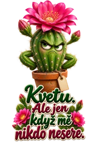 Mrzutý kaktus v plném květu