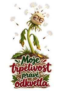 Odkvetlá trpělivost pampelišky