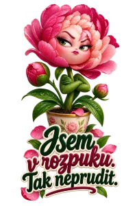 pivoňka v květináči