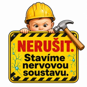 Nerušit - stavíme nervovou soustavu
