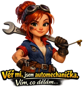 Automechanička crazy