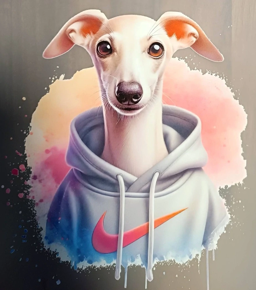 Vipet světlý v mikině nike