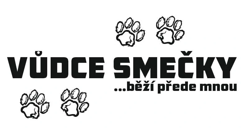 Vůdce smečky