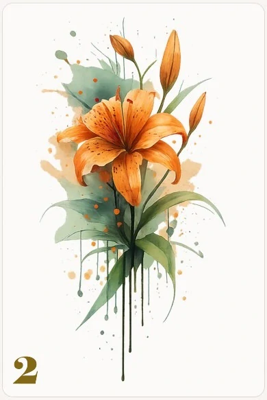 Lilie růžová a oranžová