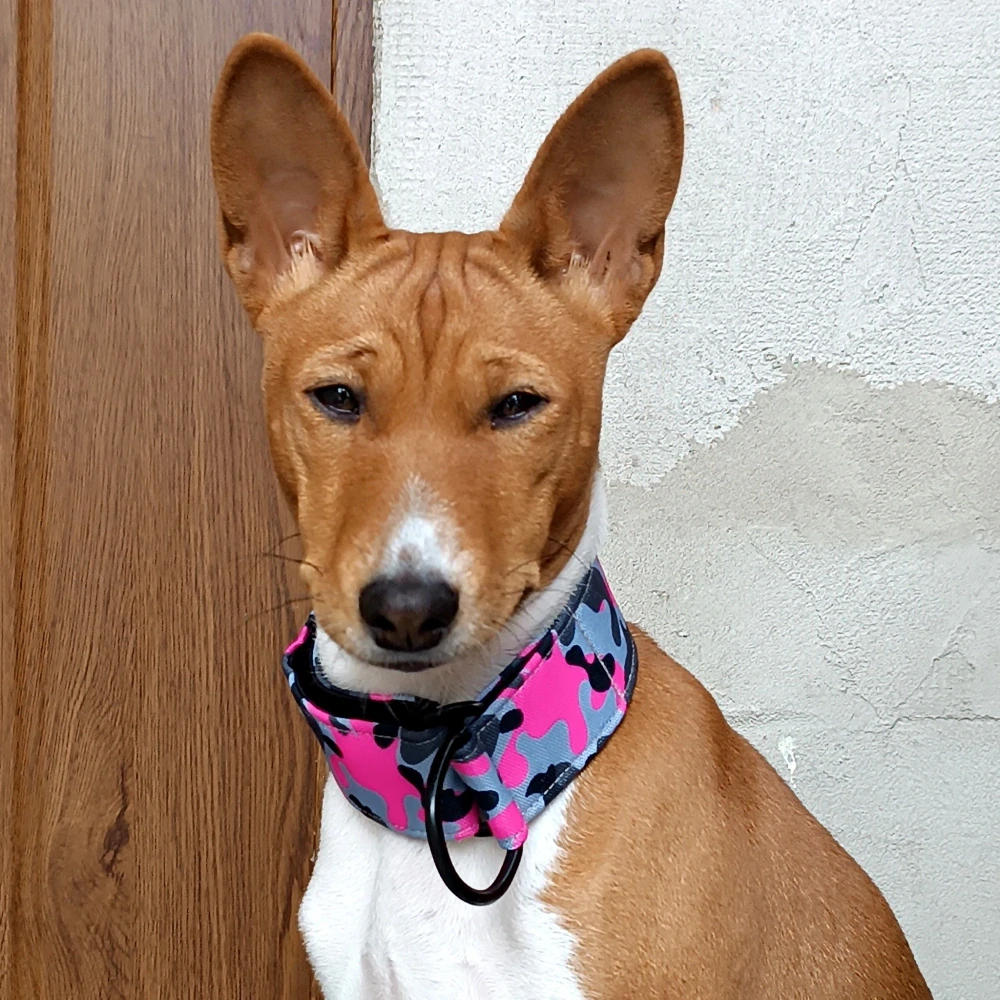 Samolepka - pes v autě (podle foto pejska)