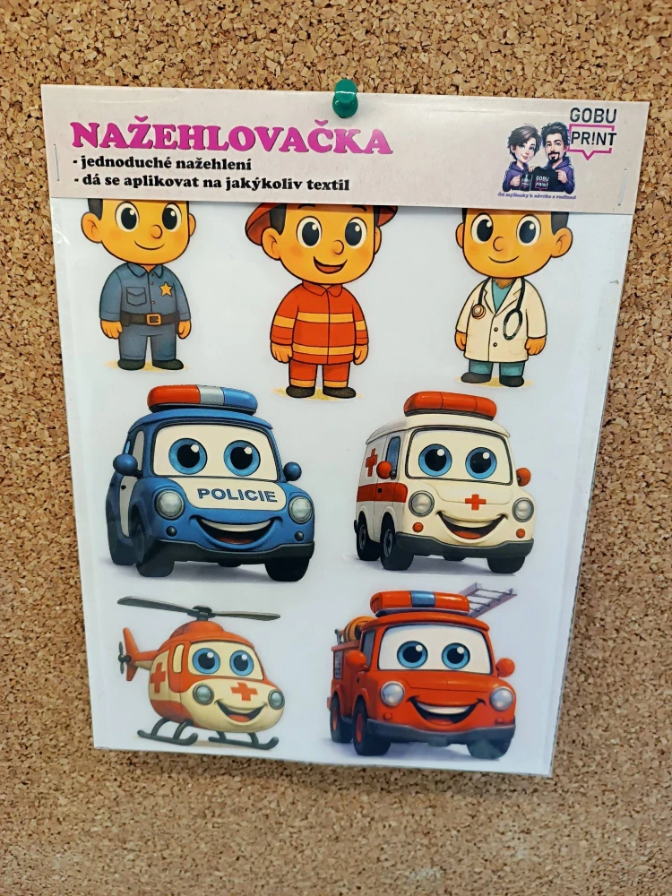 Integrovaný záchranný systém (IZS)