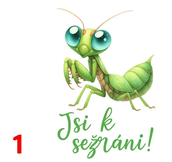 Kudlanka - text - 2 motivy