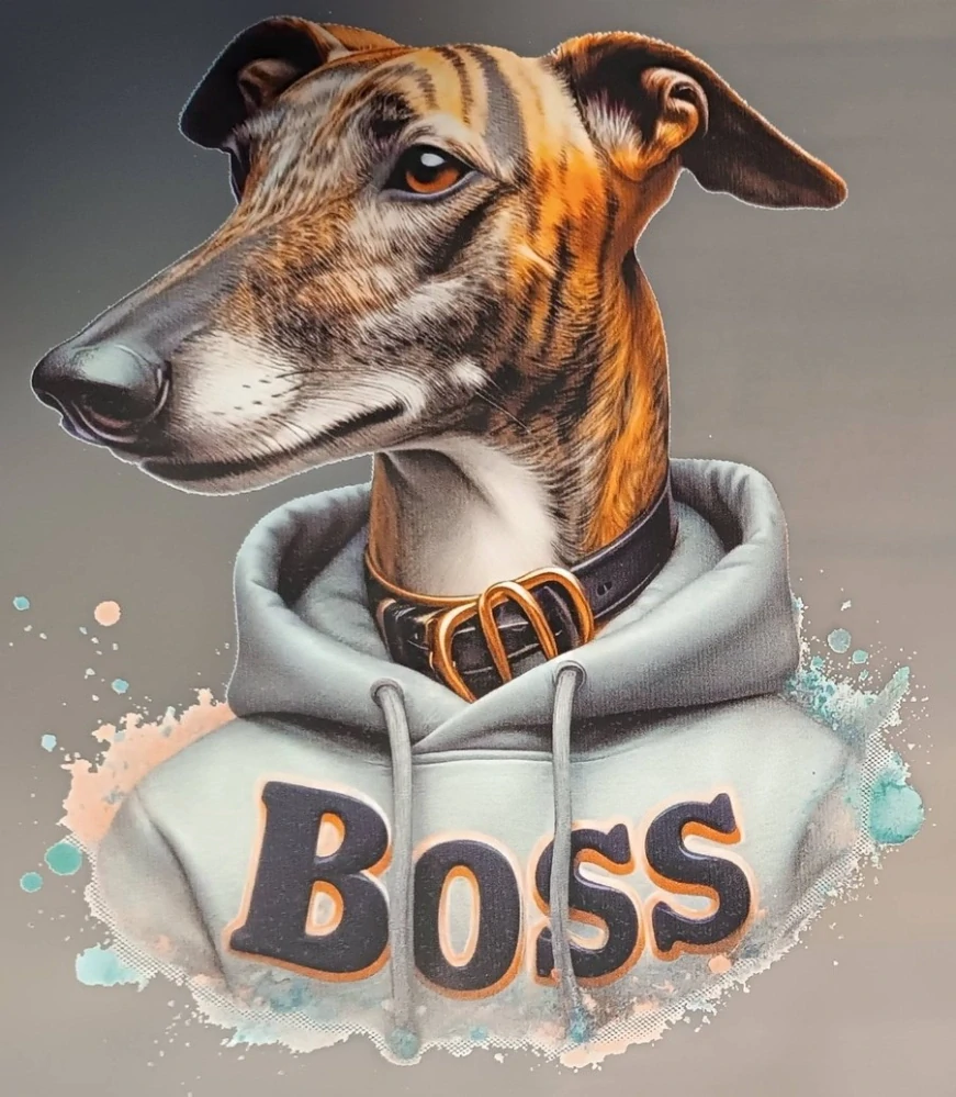 Vipet boss