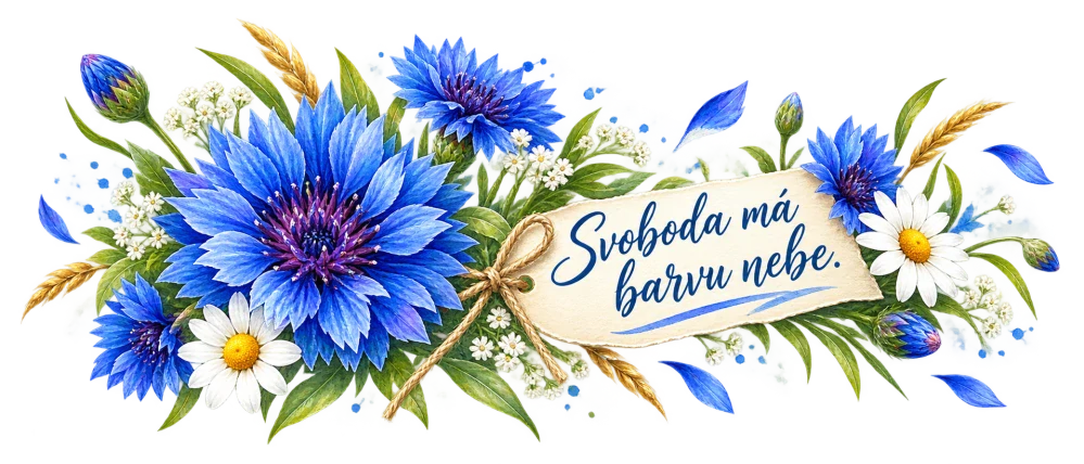 Chrpa - svoboda má barvu nebe