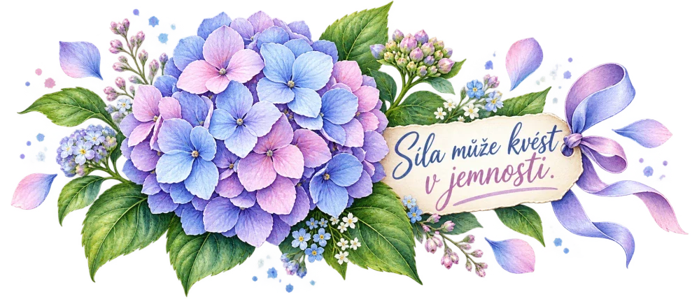 Hortenzie – Síla může kvést v jemnosti.