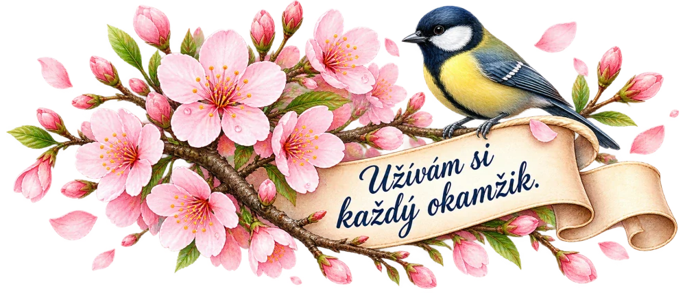 Třešňové květy se sýkorkou