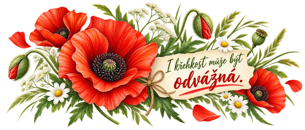 Vlčí mák - I křehkost může být odvážná
