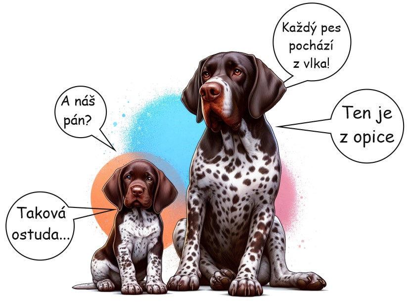 Pes pochází z vlka