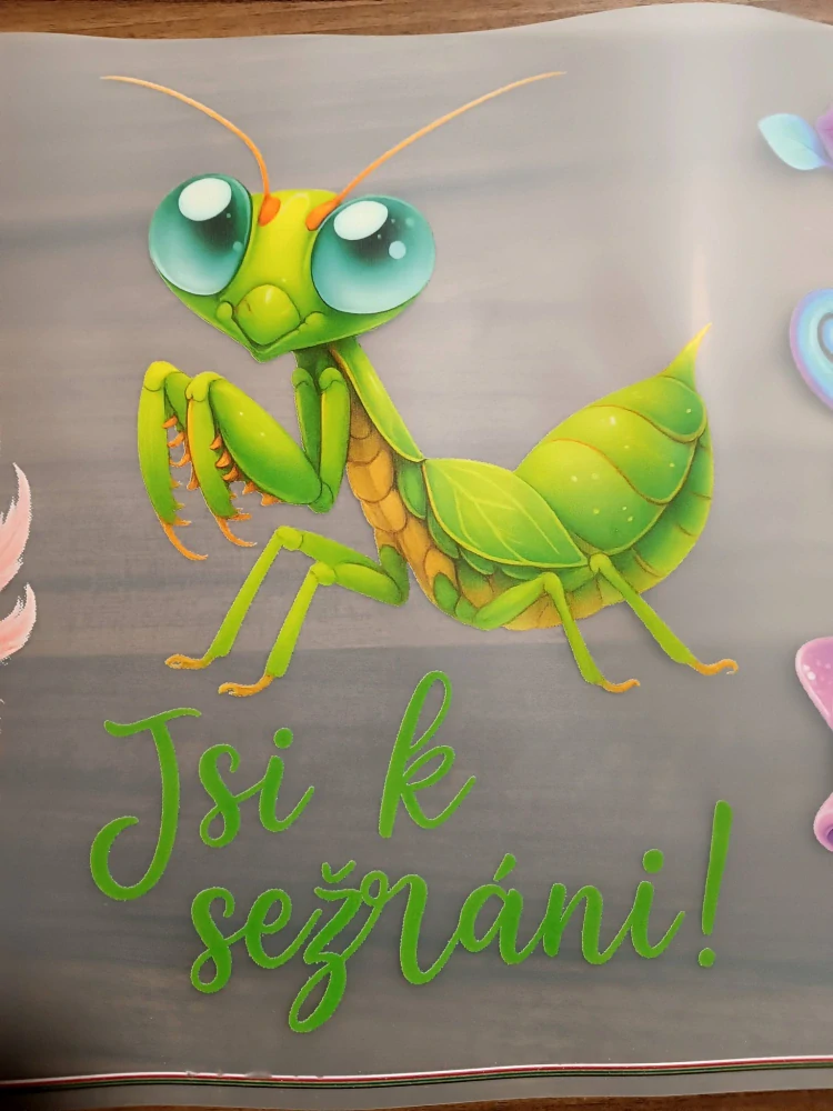 Kudlanka - text - 2 motivy